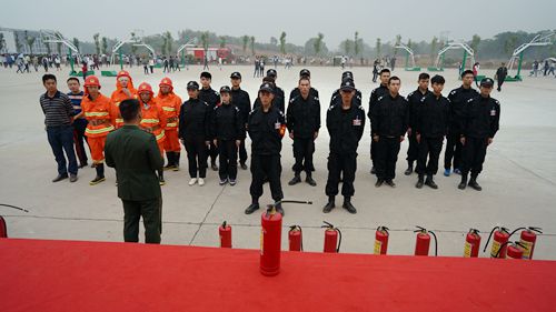 DSC03729