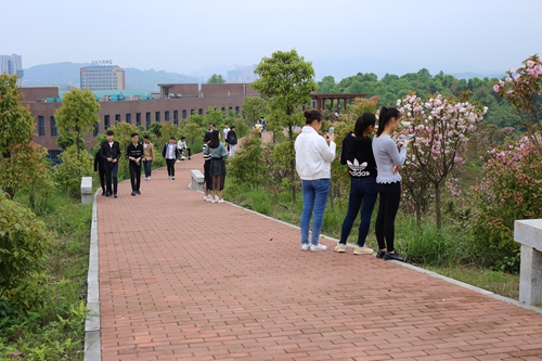 单招学生参观后山 单招学生参观后山