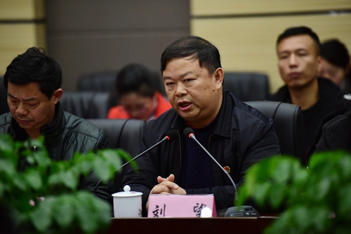 刘望书记总结发言