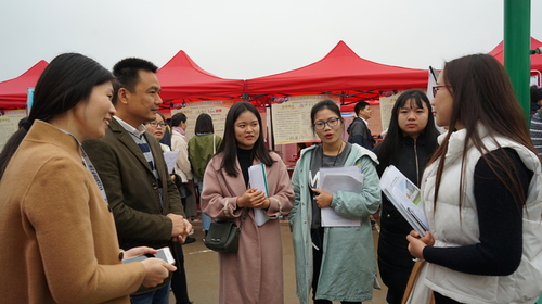 DSC03595 DSC03595