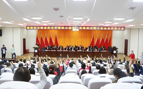 举手表决 举手表决