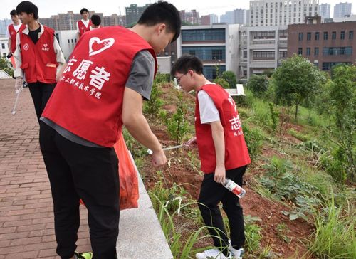 学党史办实事,学生除草2 学党史办实事,学生除草2