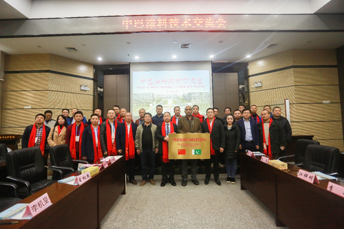 图片6